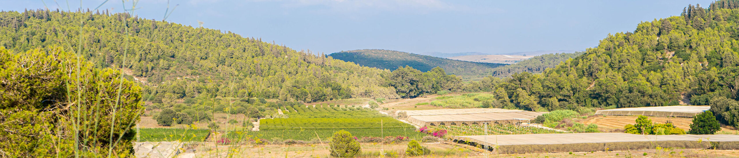 הטבע מסביב לפארמהאוס בת שלמה