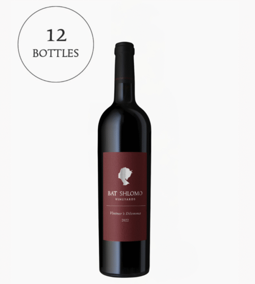 וינטנרס דילמה 2022: מארז 12 בקבוקים